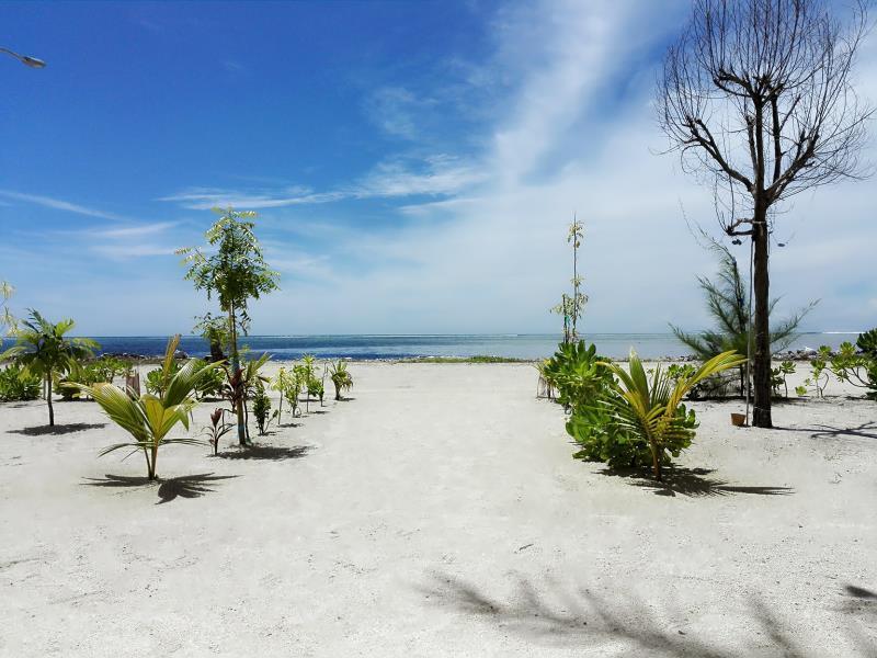 Royal Pearl Inn Maafushi Εξωτερικό φωτογραφία